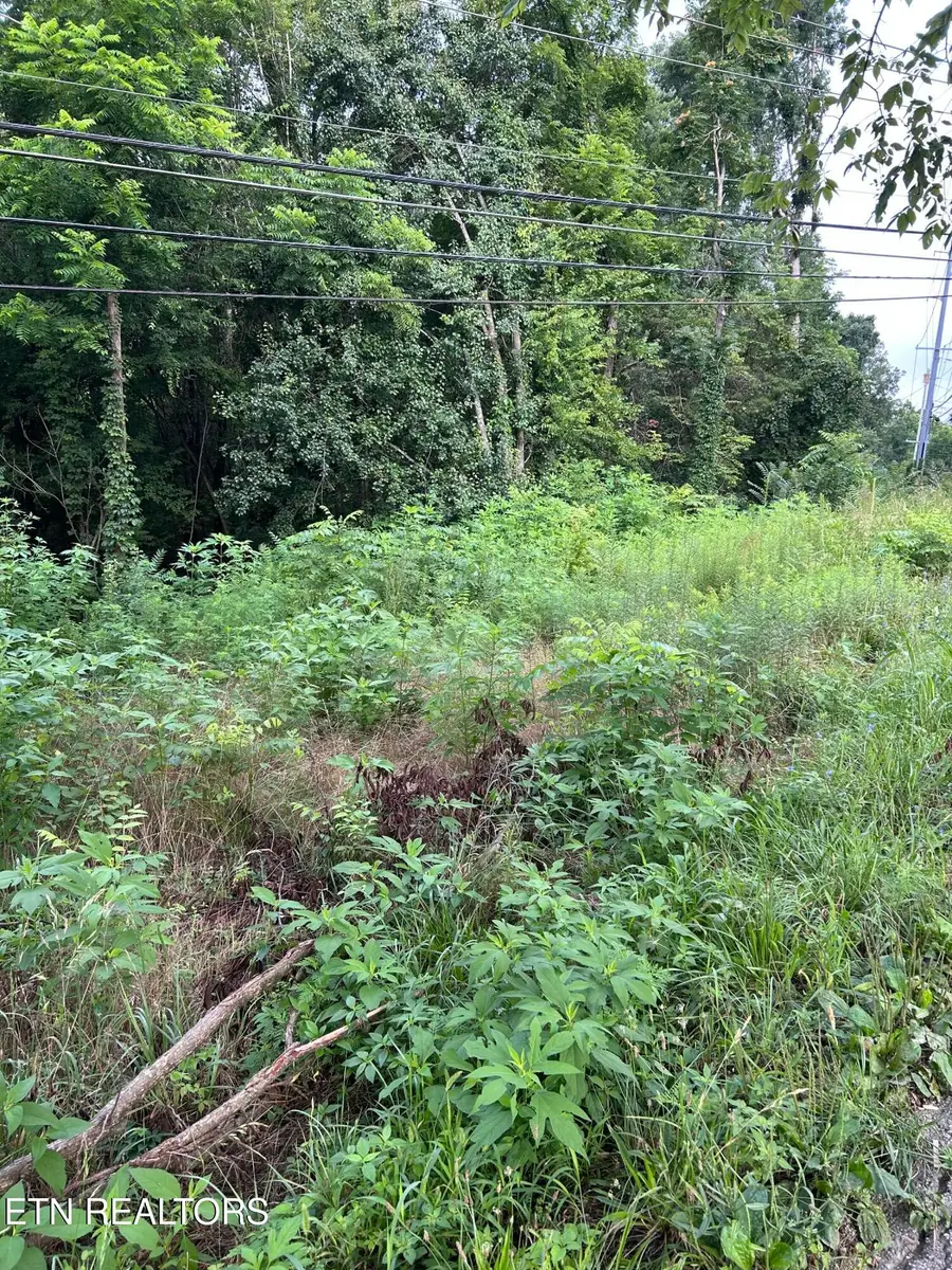 1413 Joe Hinton Rd, Knoxville, TN 37931 - #3