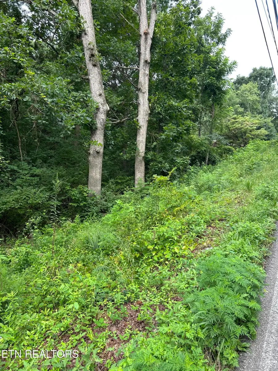 1417 Joe Hinton Rd, Knoxville, TN 37931 - #3