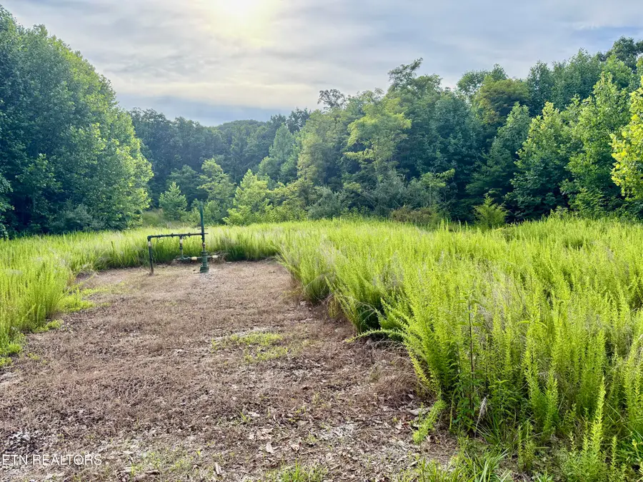 Marcum Creek Rd, Oneida, TN 37841 - #3