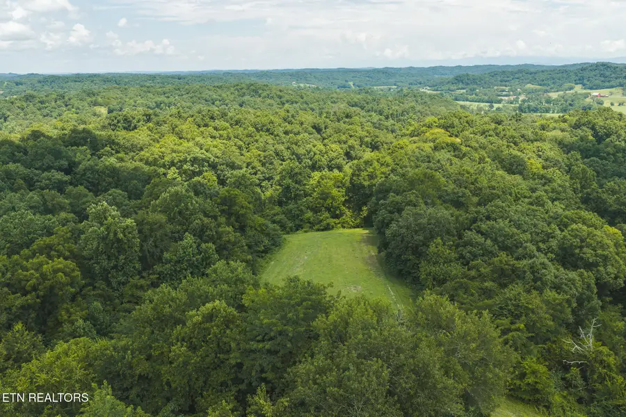 114 Acres S Mohawk Rd, Midway, TN 37809 - #2