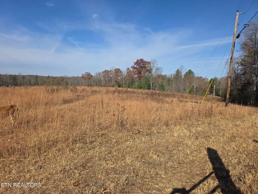 304 Barnett Bridge Rd, Lancing, TN 37770 - #2