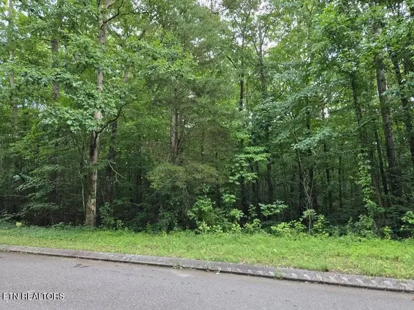 Lot 144 Lower Brow Rd, Dunlap, TN 37327