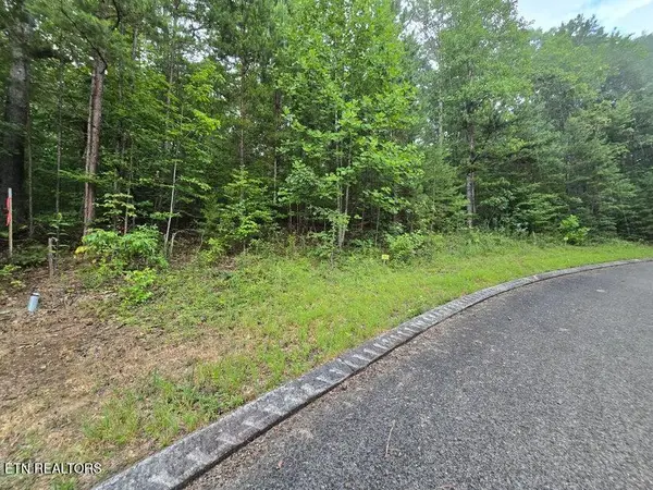 Lot 155 Lower Brow Rd, Dunlap, TN 37327