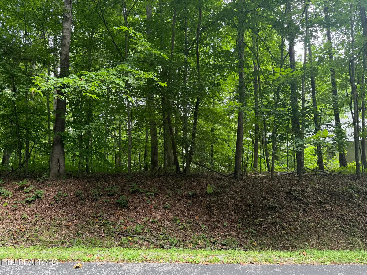 324 Dudala Point, Loudon, TN 37774 - #1