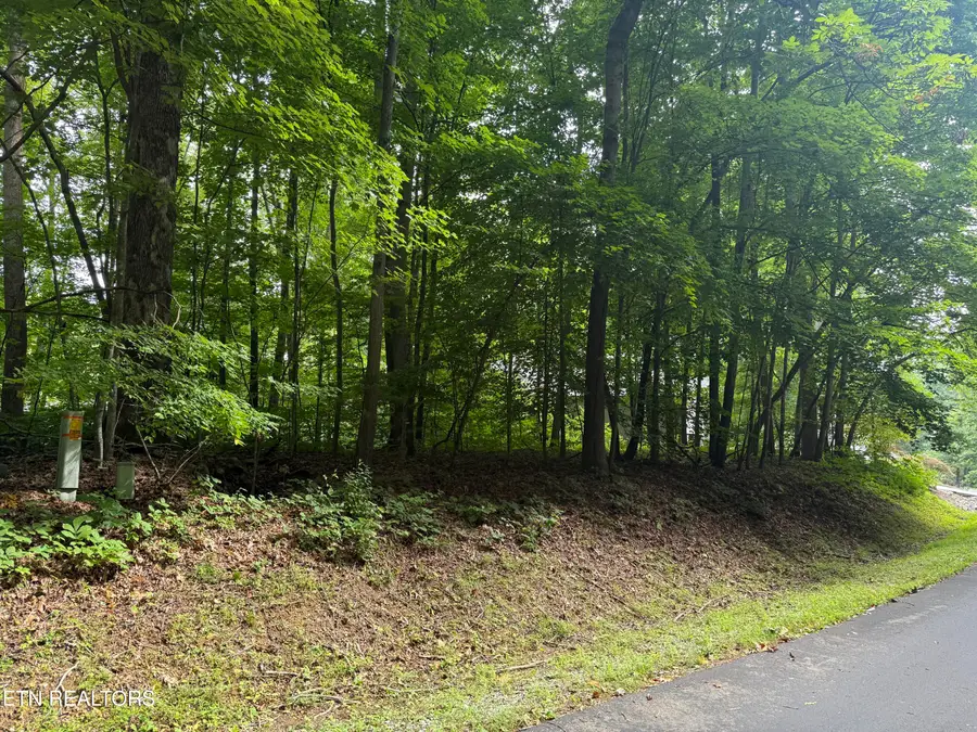 324 Dudala Point, Loudon, TN 37774 - #2