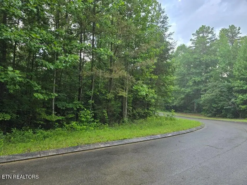 Lot 156 Lower Brow Rd, Dunlap, TN 37327 - #1