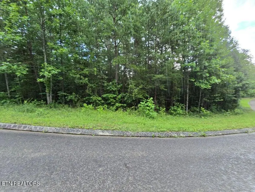 Lot 156 Lower Brow Rd, Dunlap, TN 37327 - #2