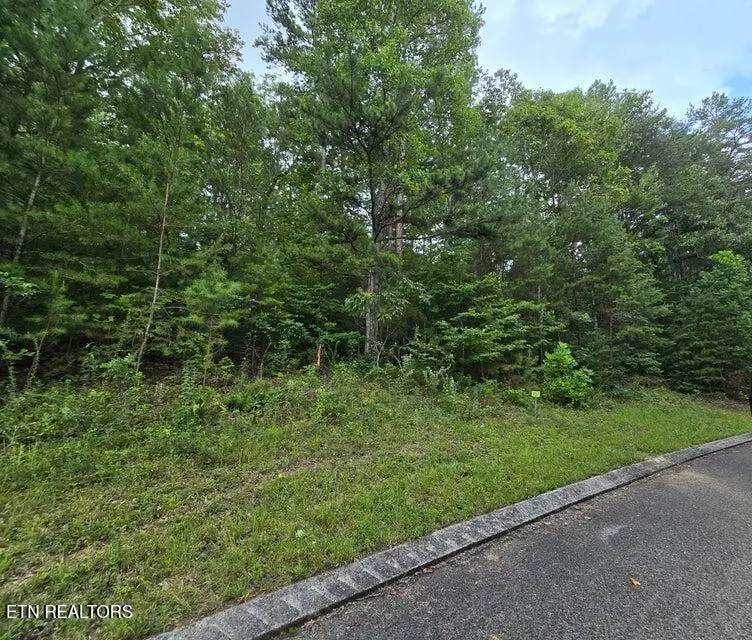 Lot 157 Lower Brow Rd, Dunlap, TN 37327 - #1
