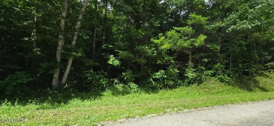 Honey Creek Loop Rd, Robbins, TN 37852 - #3