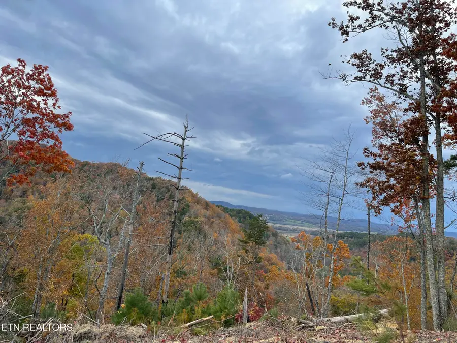 157 Quarry Creek Rd #5 - 9, Tellico Plains, TN 37385 - #2