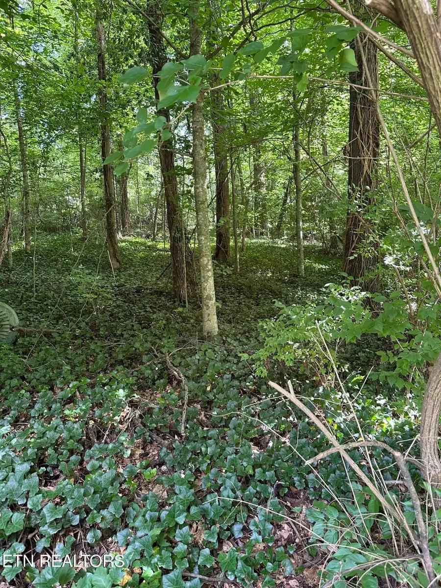 2506 Shaler Lane, Knoxville, TN 37920 - #2