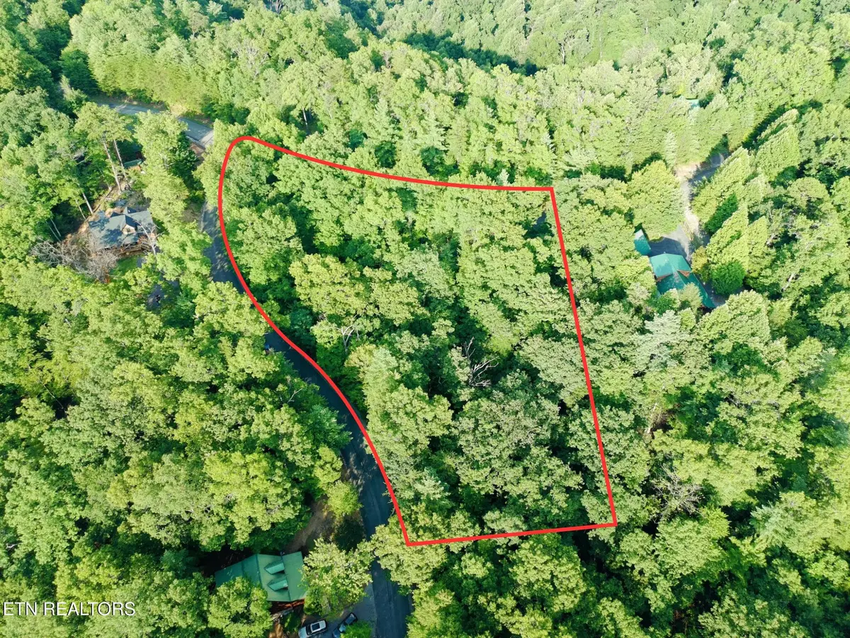Buck Board Lane, Sevierville, TN 37862 - #1