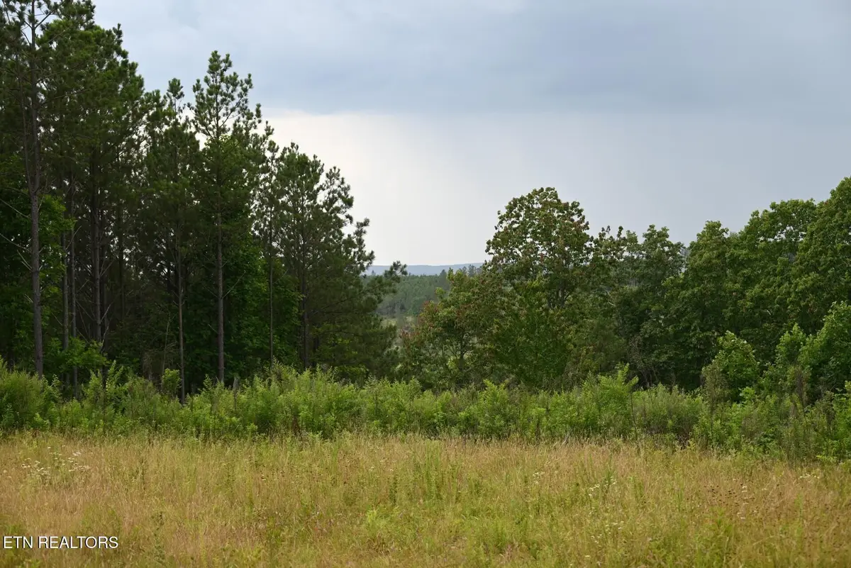 1508 Thomas Springs Rd, Crossville, TN 38572 - #1