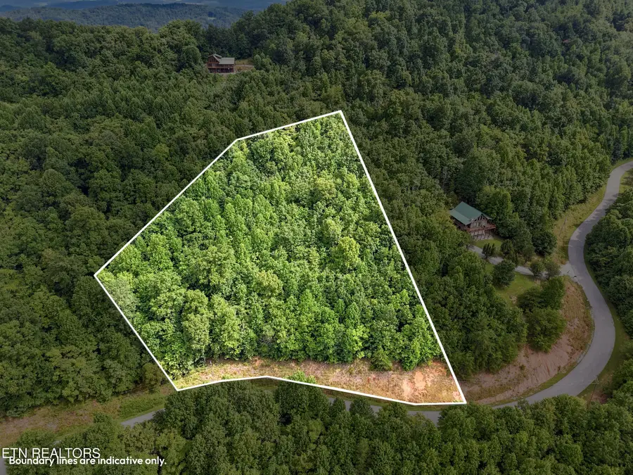 Chimney Rock Rd, New Tazewell, TN 37825 - #3