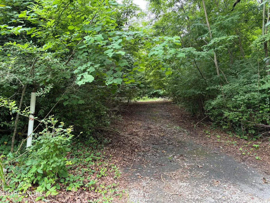 1476 Currier Lane, Knoxville, TN 37919 - #3