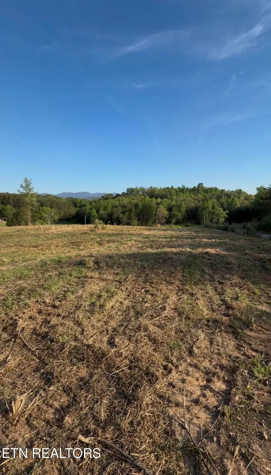 Lot 11 Curtis Rd, Tellico Plains, TN 37385 - #3
