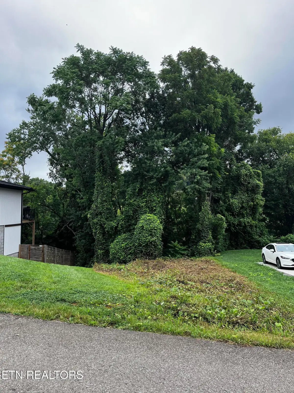 103 Henry Ave, Knoxville, TN 37920 - #1