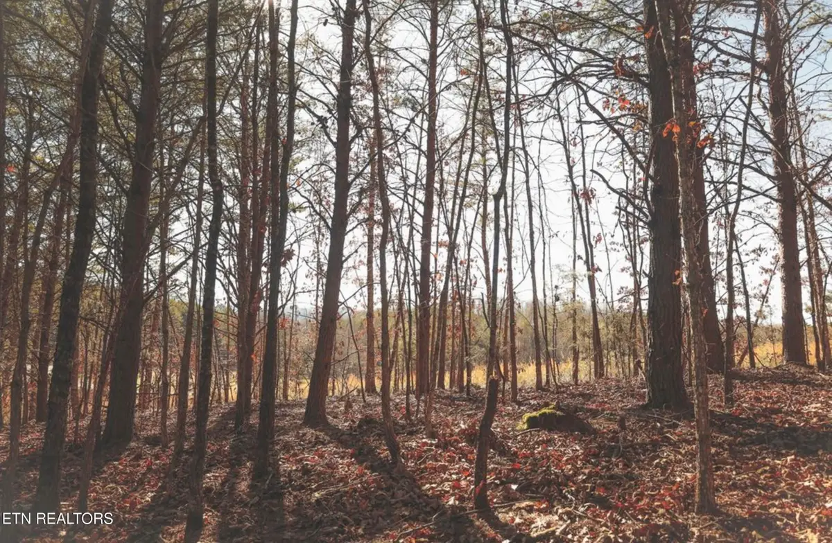 Lot 10 Curtis Rd, Tellico Plains, TN 37385 - #1
