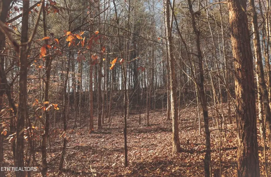 Lot 10 Curtis Rd, Tellico Plains, TN 37385 - #2