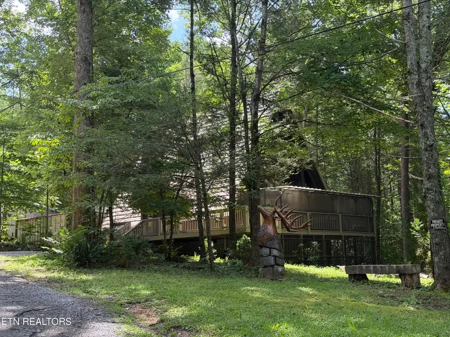 110 Buffalo Springs Way, Townsend, TN 37882 - #3