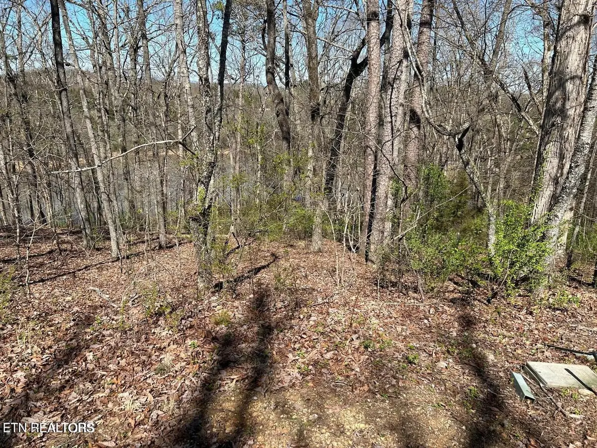 313 Skiatook Circle, Loudon, TN 37774 - #1