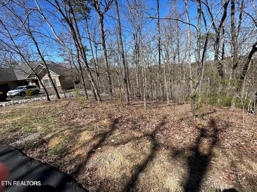 313 Skiatook Circle, Loudon, TN 37774 - #2