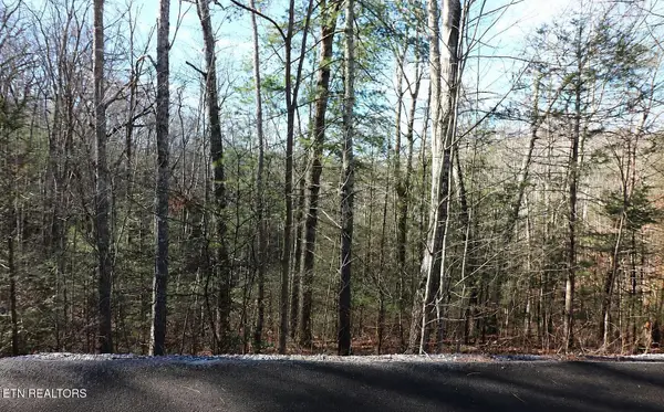 Whetstone Rd, Sevierville, TN 37862