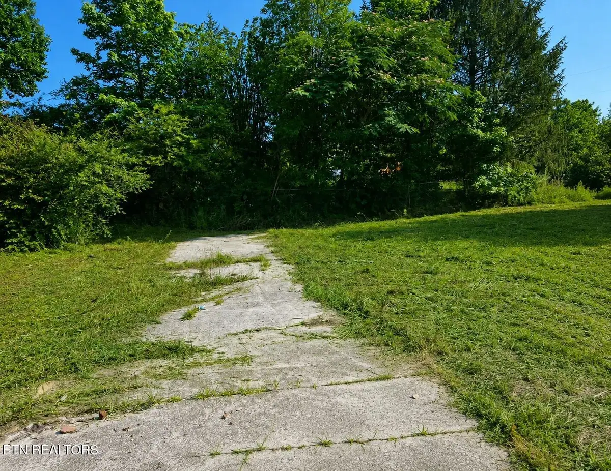 106 Wiley Cemetery Lane, Rocky Top, TN 37769 - #1