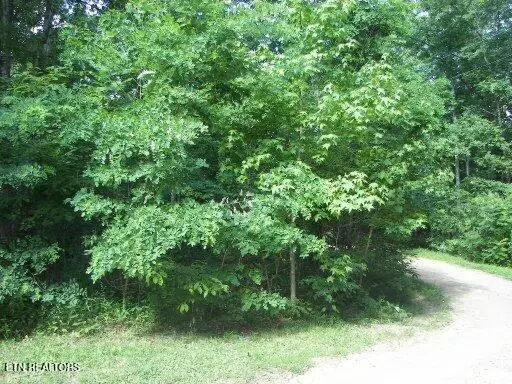 Lot 30 Butternut Lane, Sevierville, TN 37876