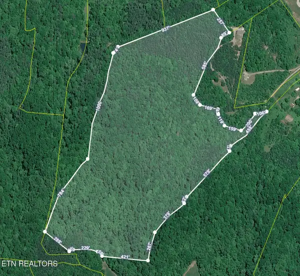 51 acres Off Rocky Branch Rd, Rutledge, TN 37861