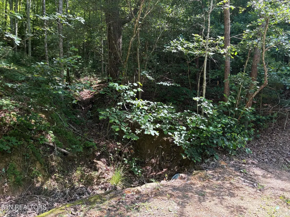Claude Shields Way, Sevierville, TN 37876 - #1