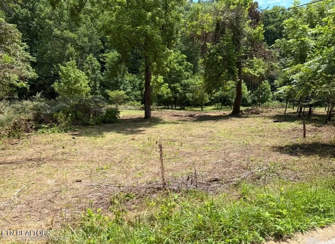 0 Valley Spring Rd, Rose Hill, VA 24281 - #1