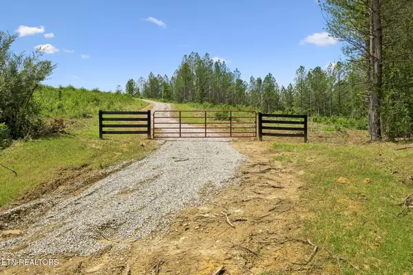Nydeck Rd, Robbins, TN 37852