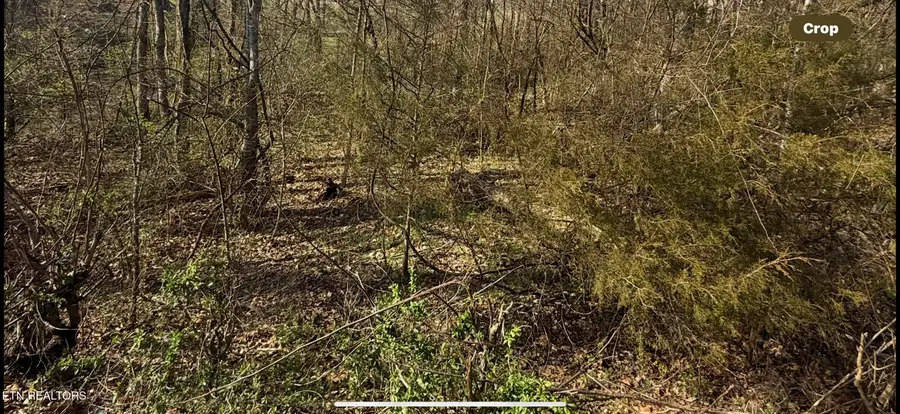 Friends Station Rd #044 030.01, New Market, TN 37820 - #2
