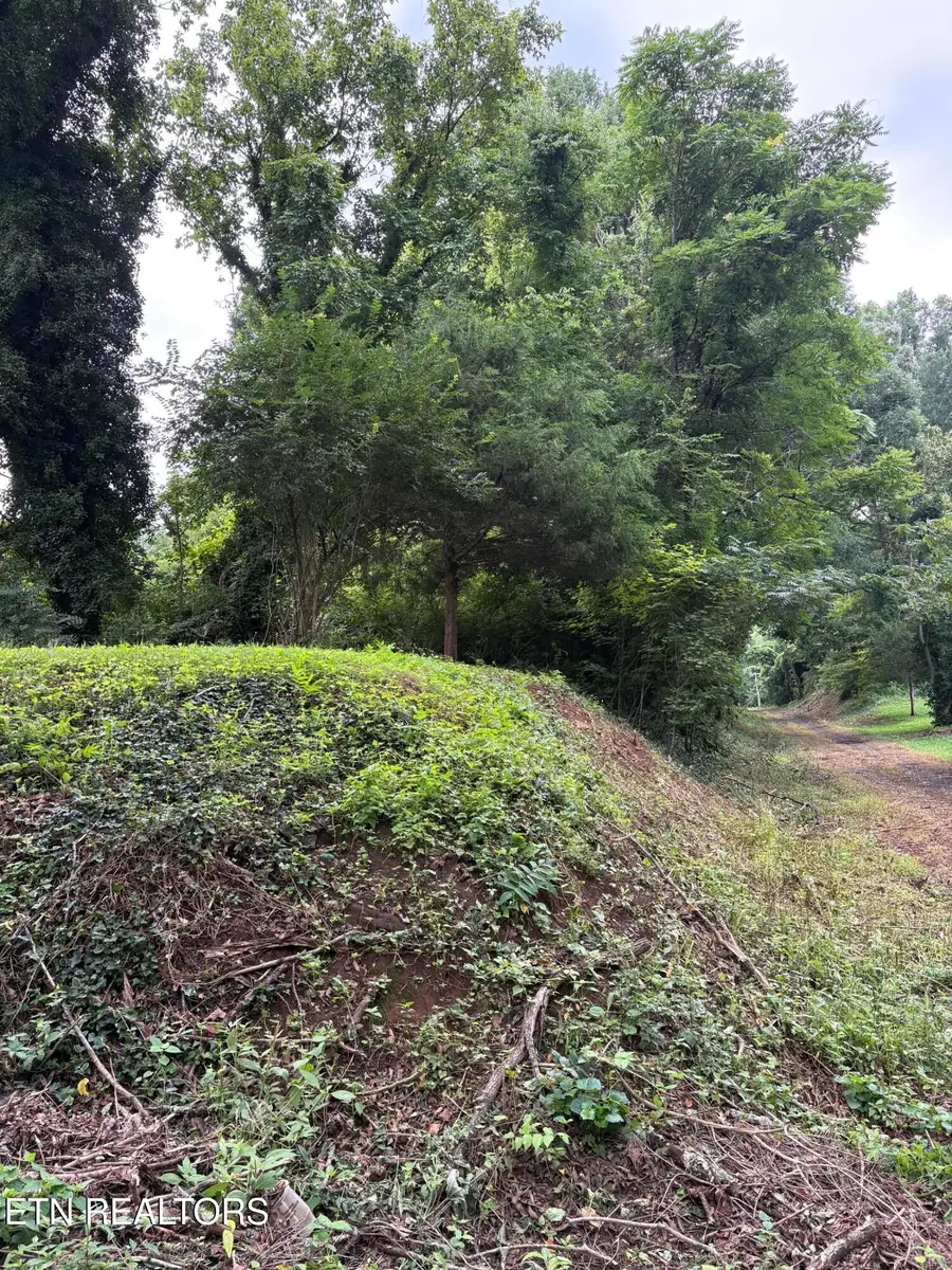 2500 Belvedere Ave, Knoxville, TN 37920 - #2