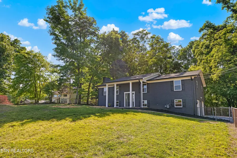 915 Ronald Drive, Talbott, TN 37877 - #3