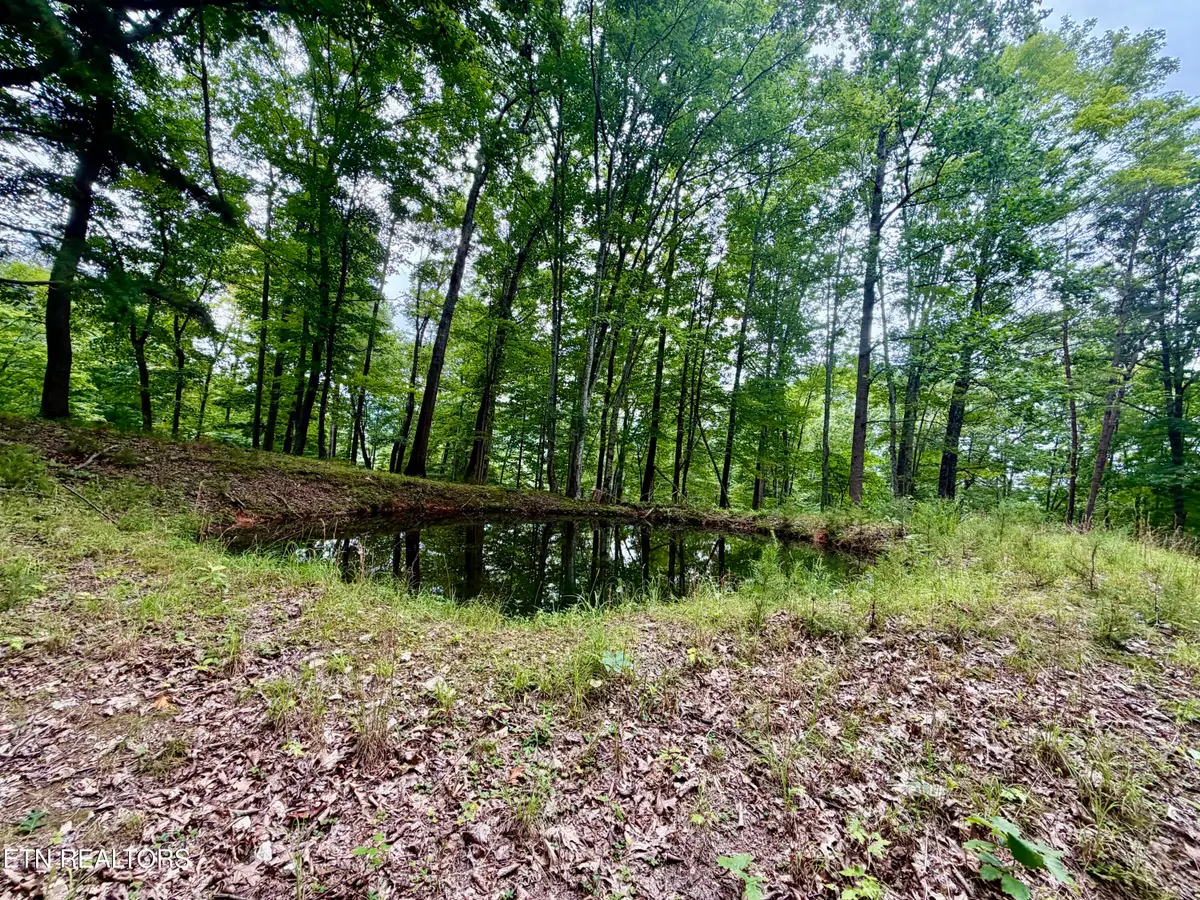 1545 Estes Rd, Tazewell, TN 37879 - #1