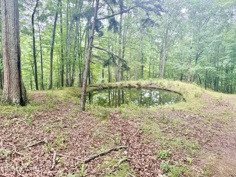1545 Estes Rd, Tazewell, TN 37879 - #3