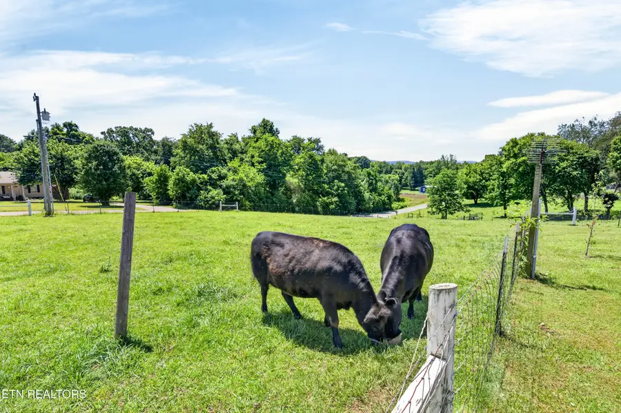 105 Foothills Rd, Pikeville, TN 37367 - #3