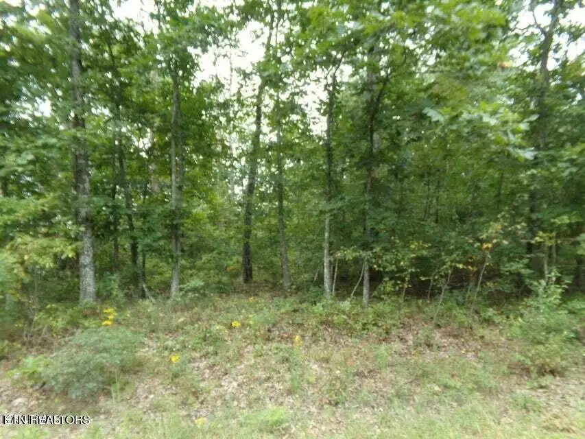 5105 Yurch Drive, Crossville, TN 38572 - #1