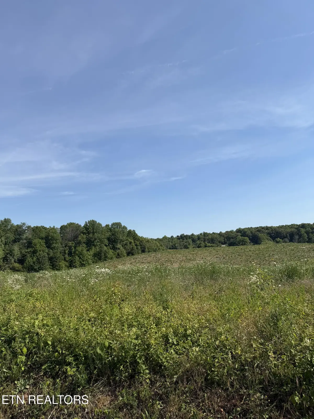 12D Petty Rd, Sparta, TN 38583 - #1
