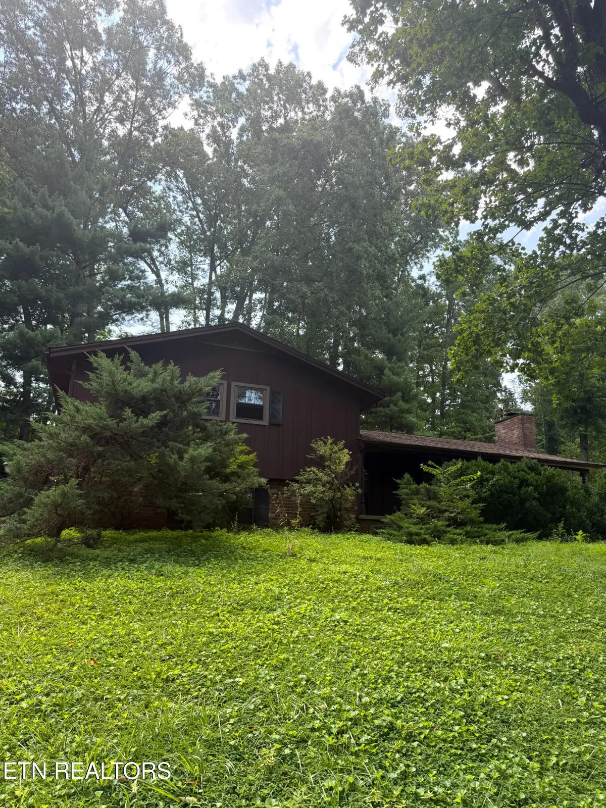 4924 Skyview Drive, Knoxville, TN 37917 - #1