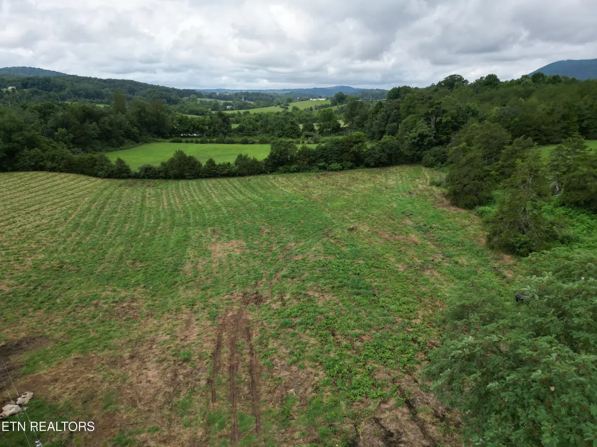 317 Singleton Hollow Rd #lot 1, Speedwell, TN 37870 - #1
