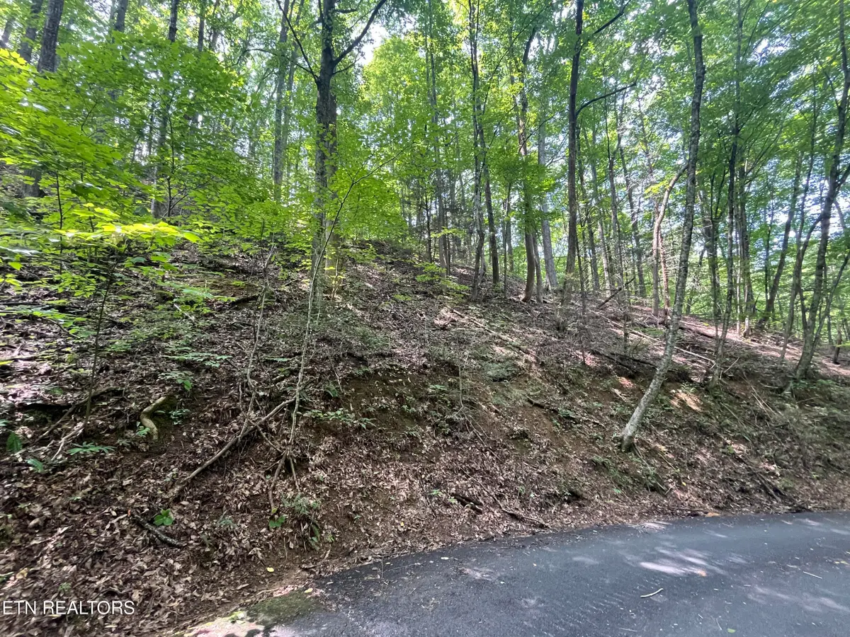 Lot 334 Ridgefield Drive, Sevierville, TN 37876 - #1
