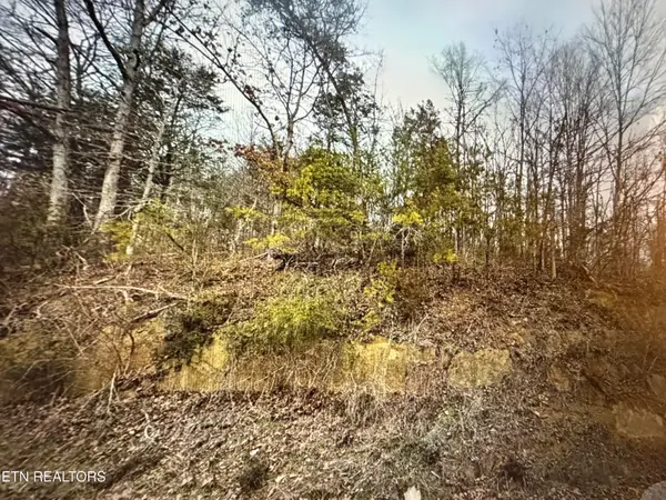 1059 Kellum Creek Rd, Sevierville, TN 37876