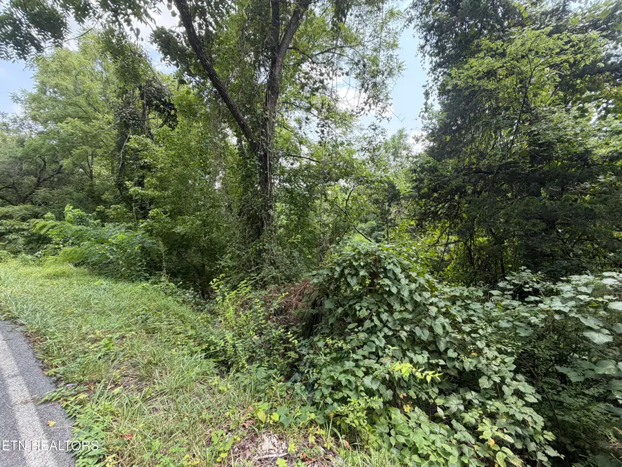 1059 Kellum Creek Rd, Sevierville, TN 37876 - #2