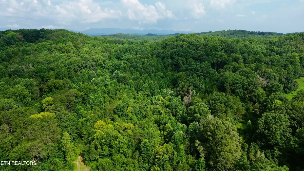 W Raccoon Valley Drive, Heiskell, TN 37754 - #1