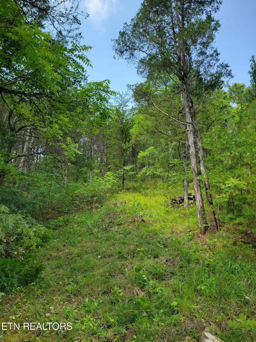Bay View Point, Sevierville, TN 37876 - #3