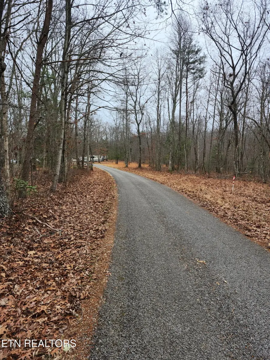 Peacock Rd, Deer Lodge, TN 37726 - #2