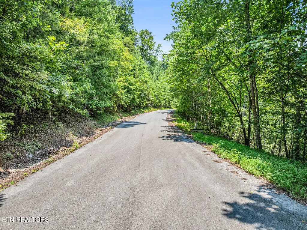 Lot 453 Silver Trl, New Tazewell, TN 37825 - #1